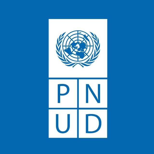 Logo PNUD