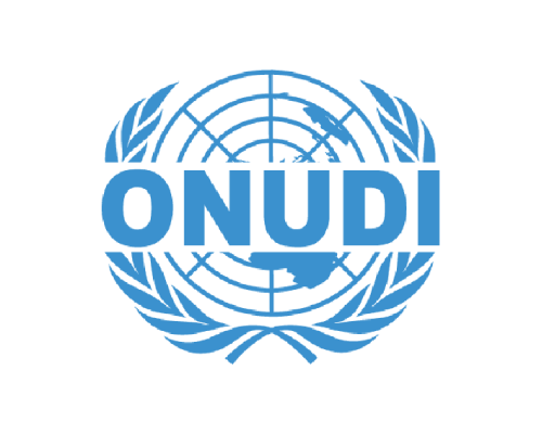 Logo ONUDI